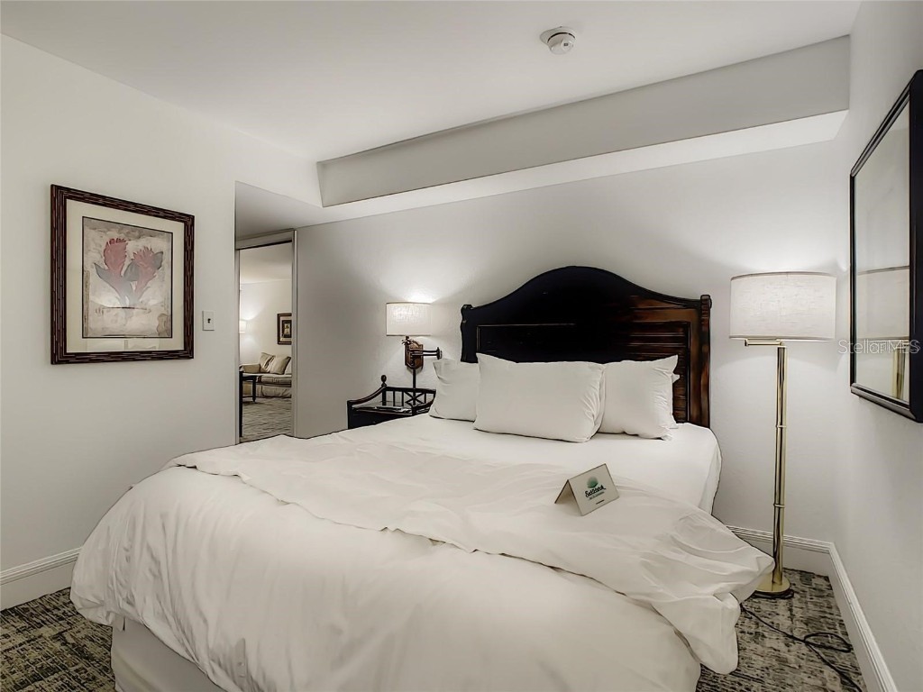 4786 Fox Hunt Drive #717 Wesley Chapel FL 33543 TB8324698 image12