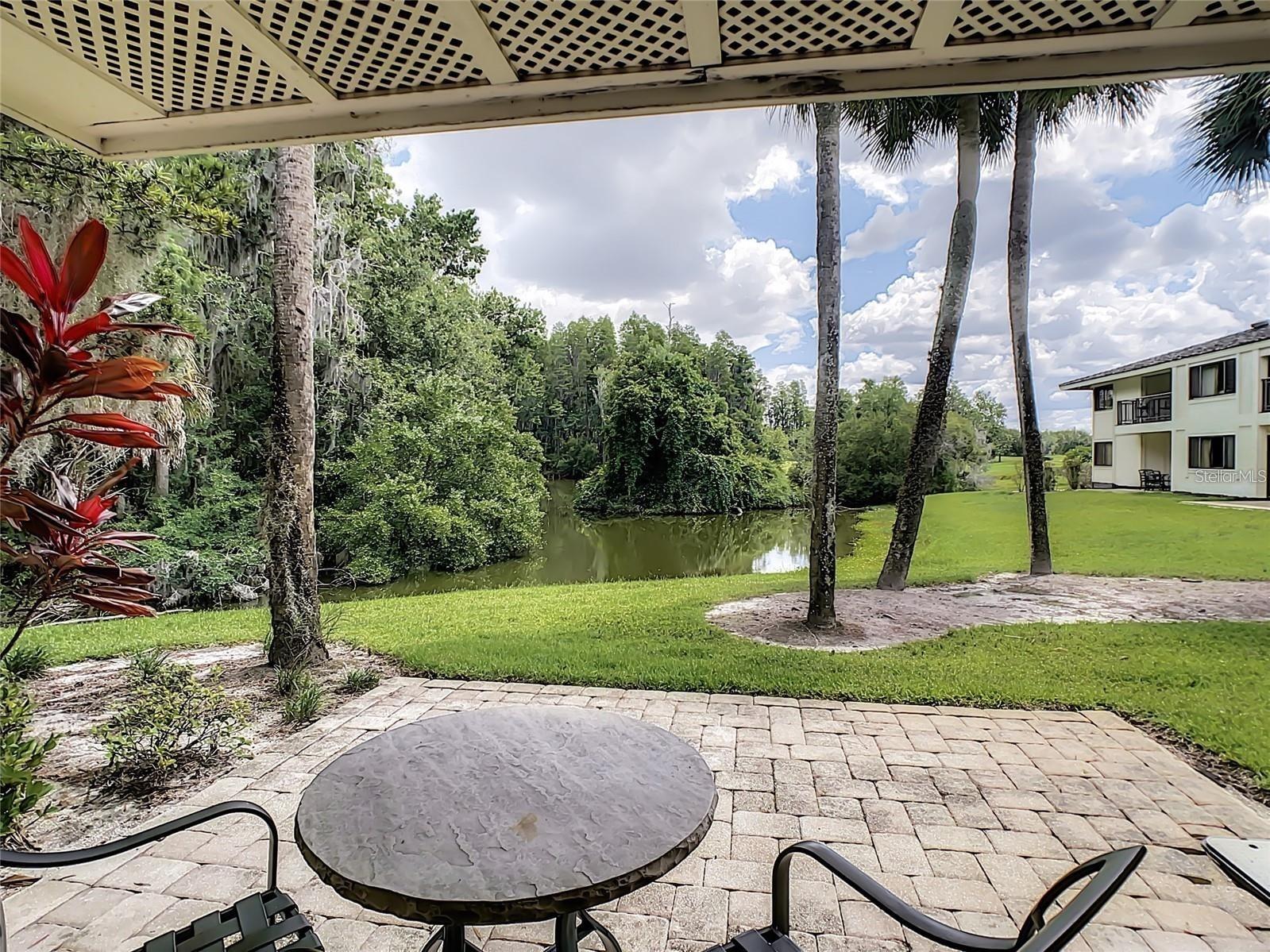 4786 Fox Hunt Drive #B717 Wesley Chapel FL 33543 TB8527173 image14
