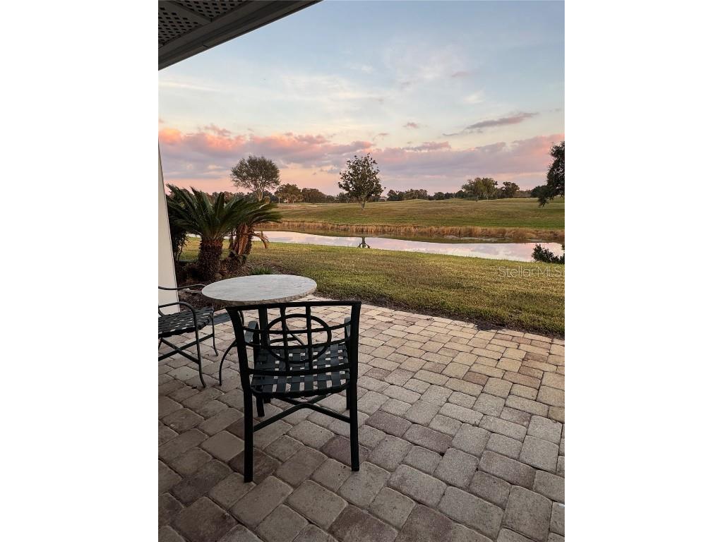 4786 Fox Hunt Drive #D743 Wesley Chapel FL 33543 TB8448574 image16