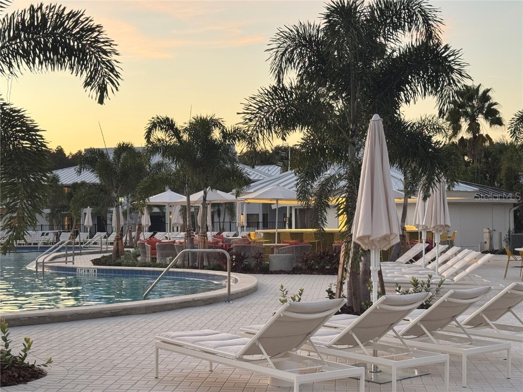 4786 Fox Hunt Drive #D743 Wesley Chapel FL 33543 TB8448574 image20