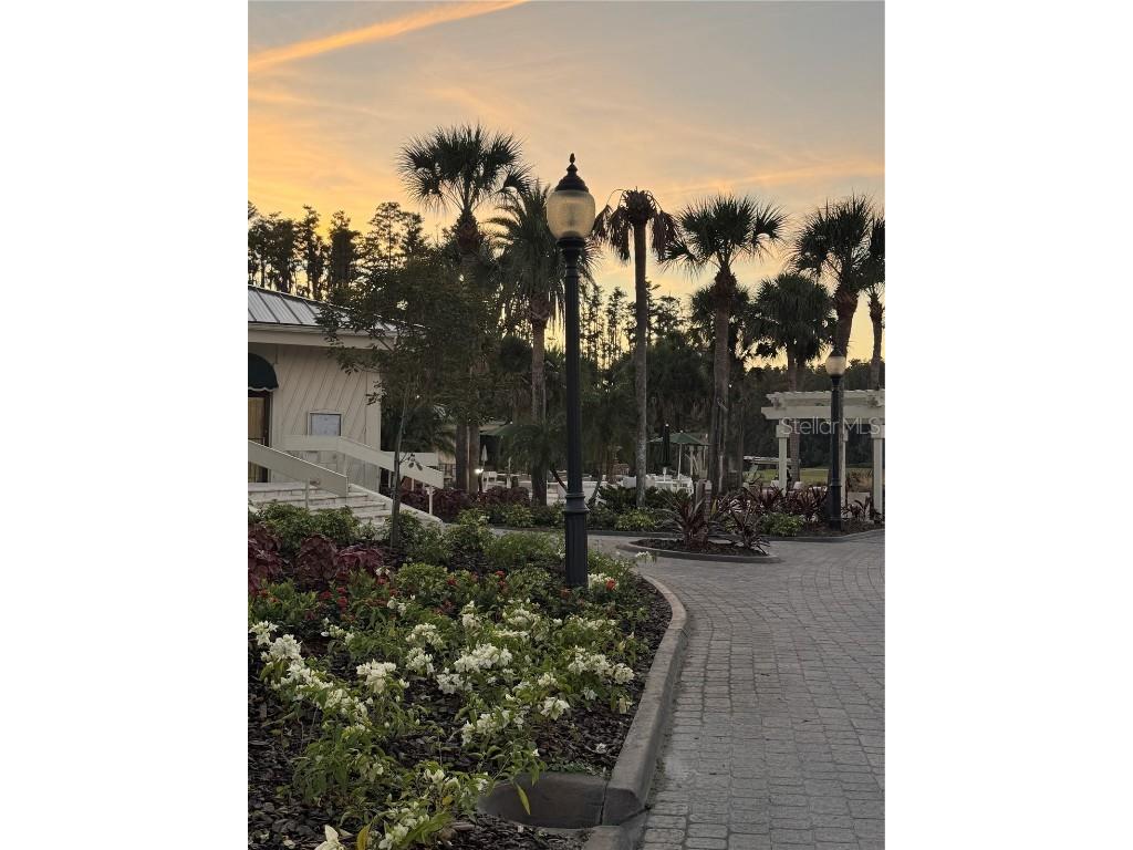 4786 Fox Hunt Drive #D743 Wesley Chapel FL 33543 TB8448574 image25