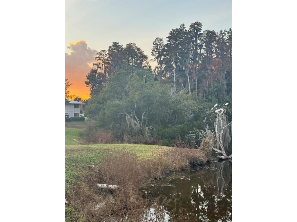 4786 Fox Hunt Drive #D743 Wesley Chapel FL 33543 TB8448574 image27