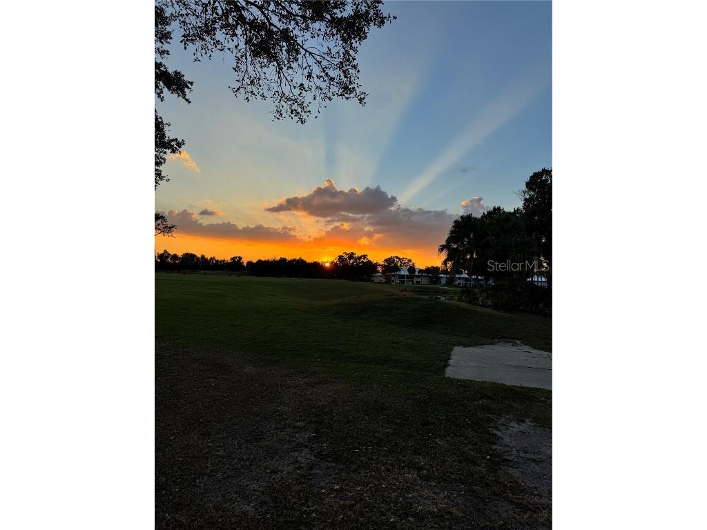 4786 Fox Hunt Drive #D743 Wesley Chapel FL 33543 TB8448574 image30