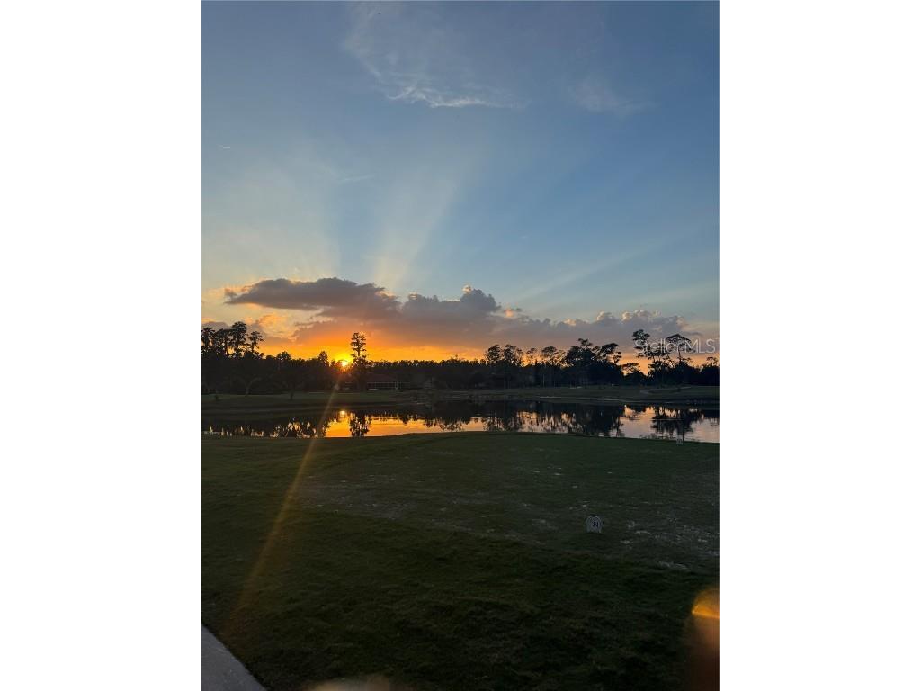 4786 Fox Hunt Drive #D743 Wesley Chapel FL 33543 TB8448574 image31