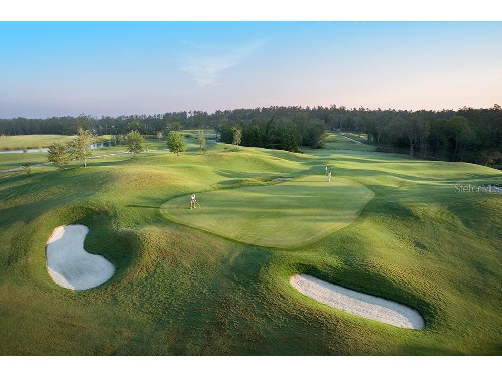 4787 Hickory Oak Drive Brooksville FL 34601 TB8424656 image2