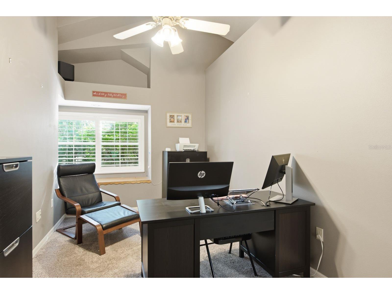 4788 Brayton Terrace S Palm Harbor FL 34685 TB8520965 image26