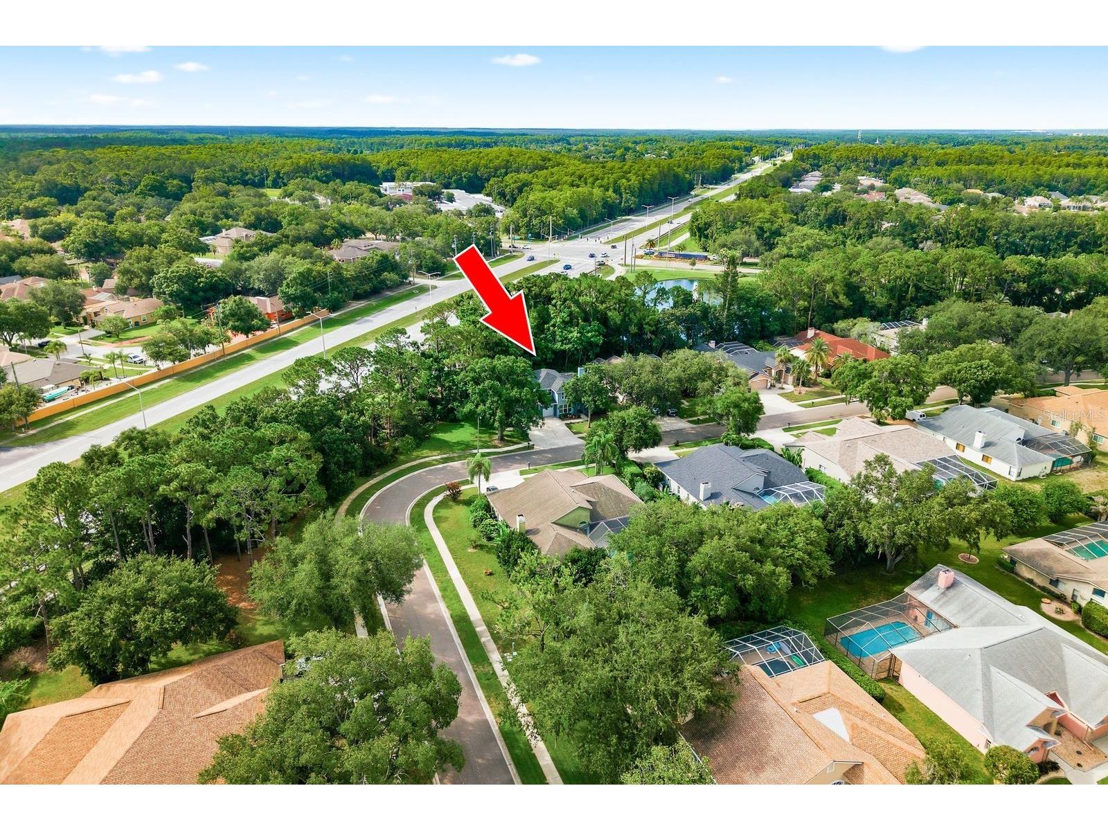 4788 Brayton Terrace S Palm Harbor FL 34685 TB8520965 image49