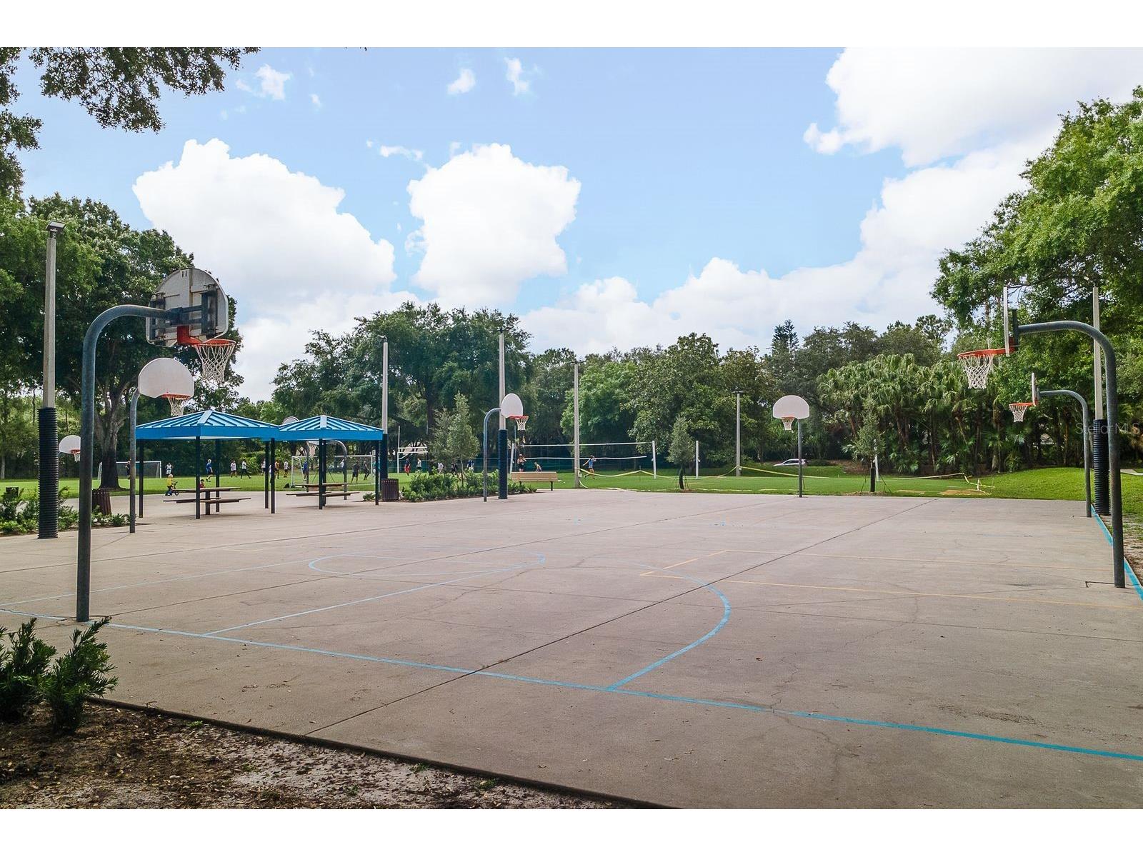 4788 Brayton Terrace S Palm Harbor FL 34685 TB8520965 image50