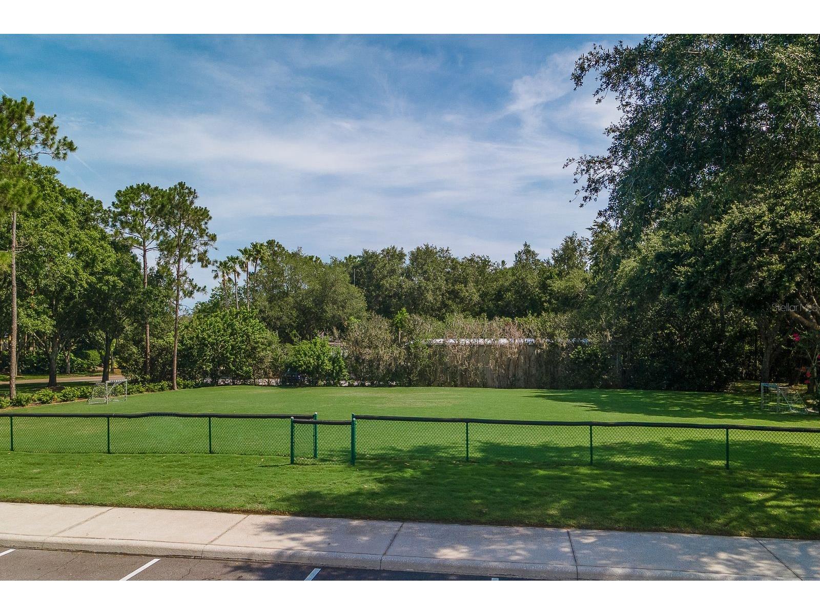 4788 Brayton Terrace S Palm Harbor FL 34685 TB8520965 image52