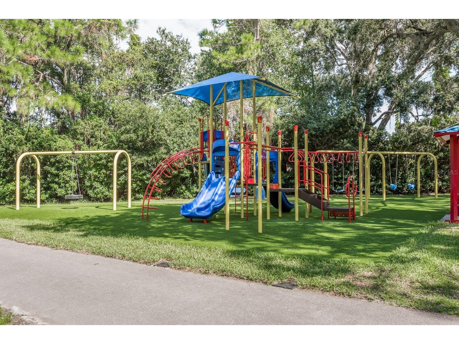 4788 Brayton Terrace S Palm Harbor FL 34685 TB8520965 image57