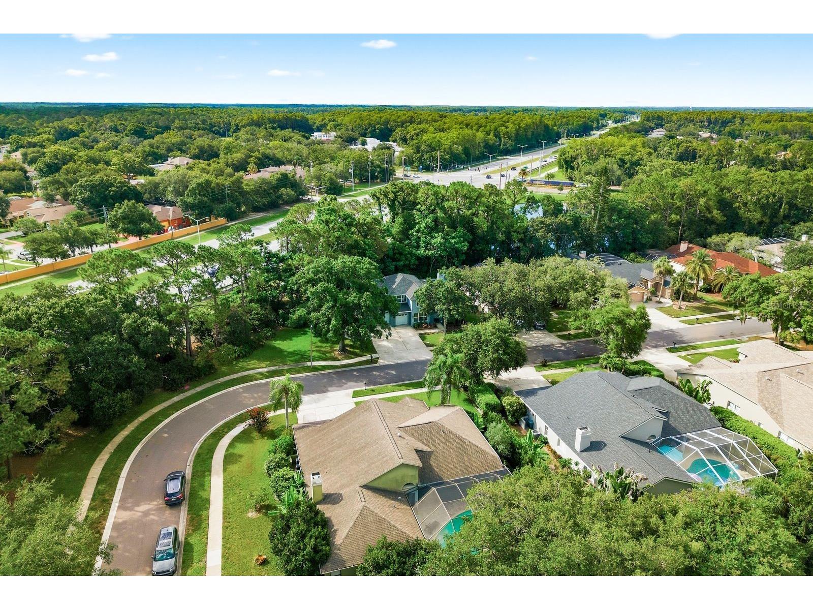 4788 Brayton Terrace S Palm Harbor FL 34685 TB8520965 image61