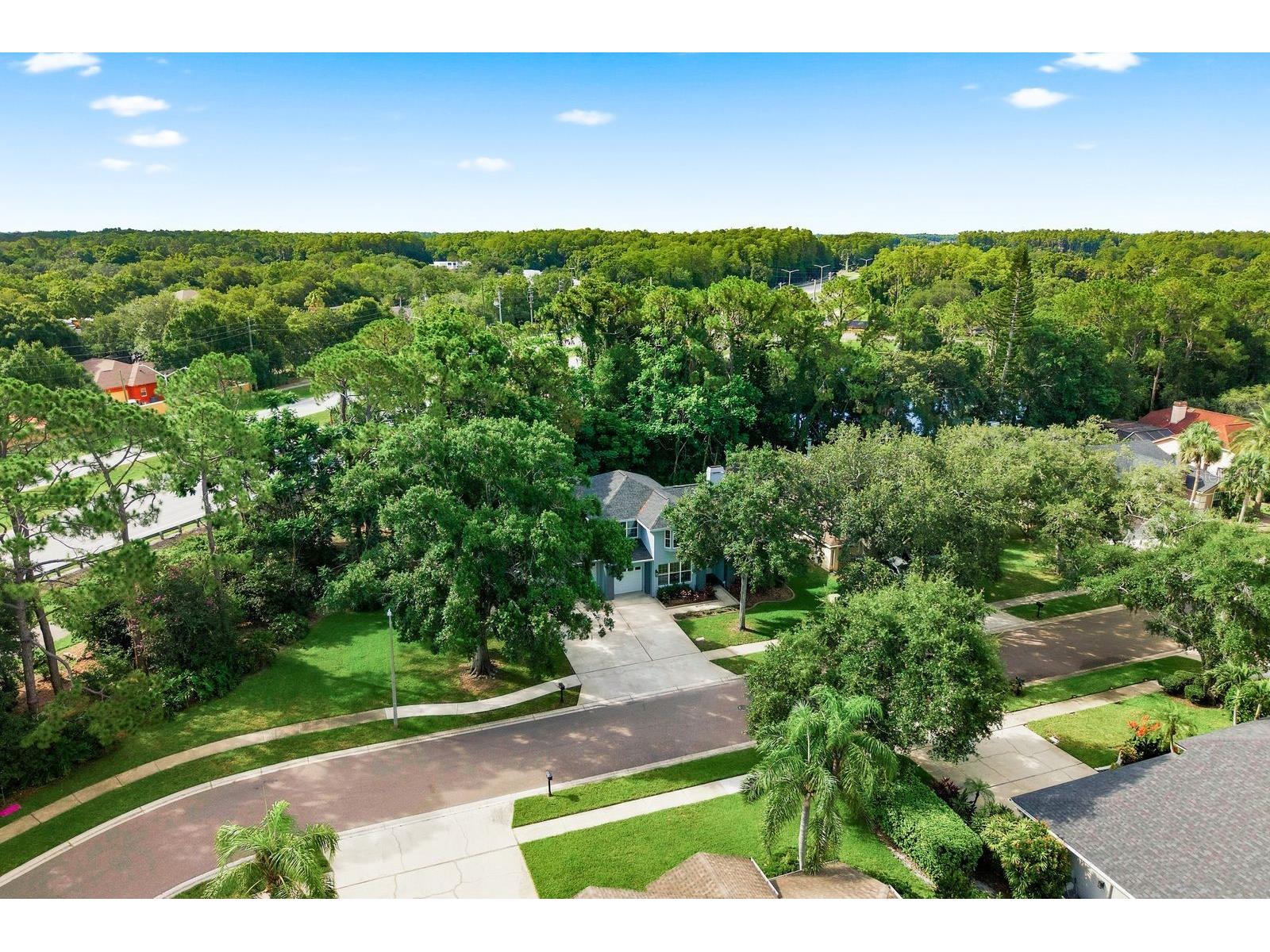 4788 Brayton Terrace S Palm Harbor FL 34685 TB8520965 image62