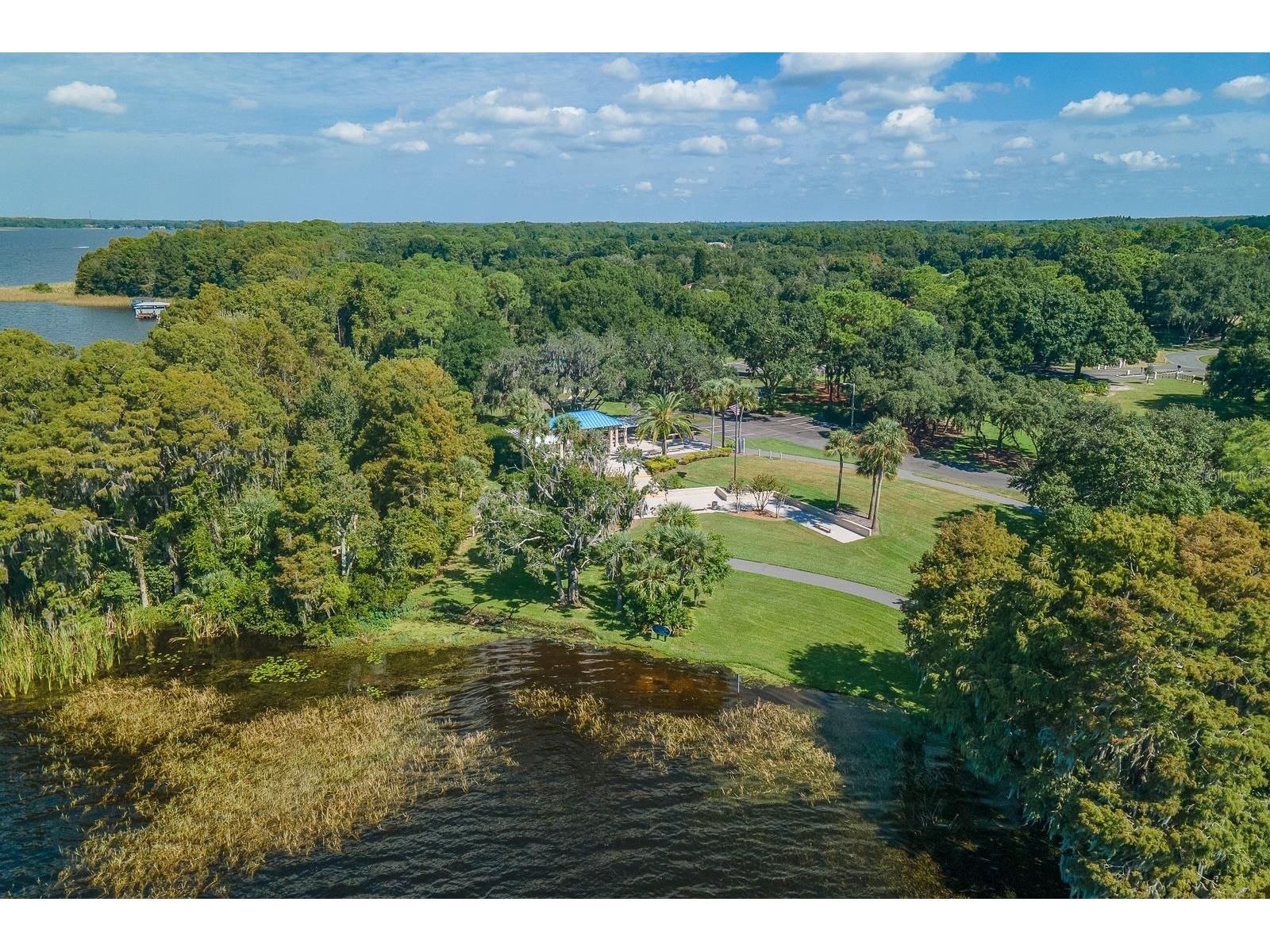 4788 Brayton Terrace S Palm Harbor FL 34685 TB8520965 image63
