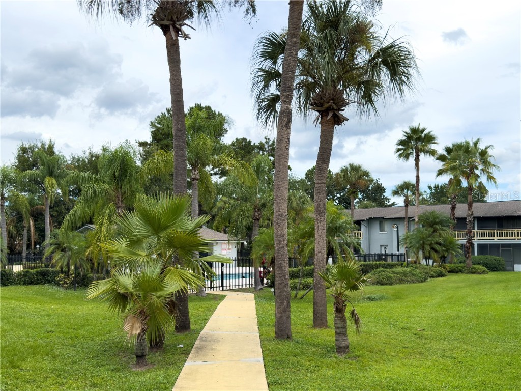 4789 S Texas Avenue #4789D Orlando FL 32839 S5138650 image15