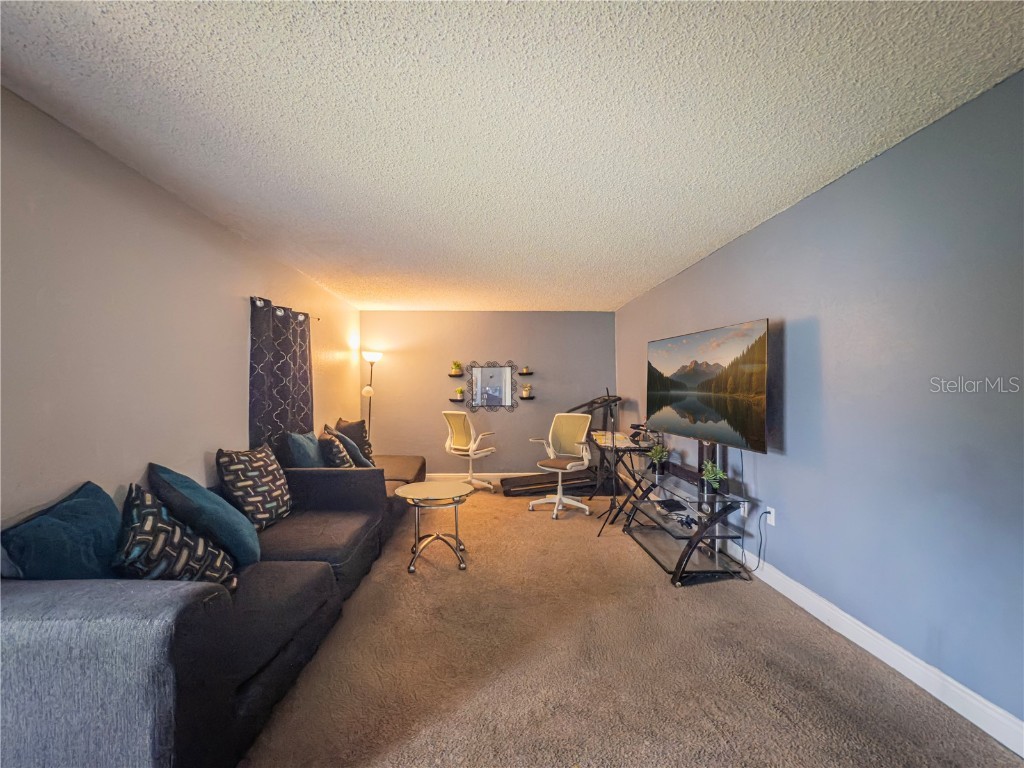 4789 S Texas Avenue #4789D Orlando FL 32839 S5138650 image18