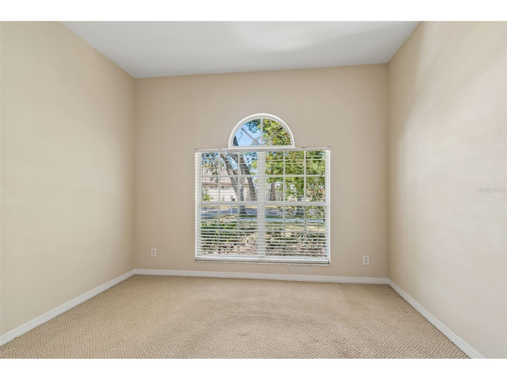 4789 Whispering Wind Avenue Tampa FL 33614 TB8499395 image18