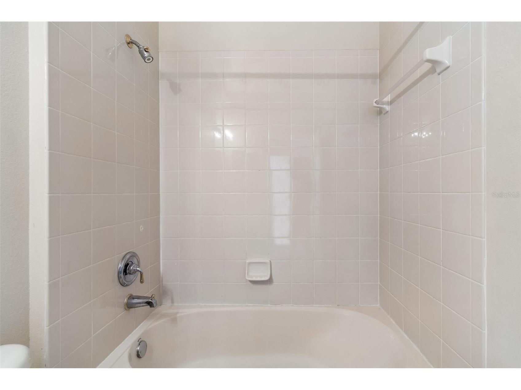 4789 Whispering Wind Avenue Tampa FL 33614 TB8499395 image28