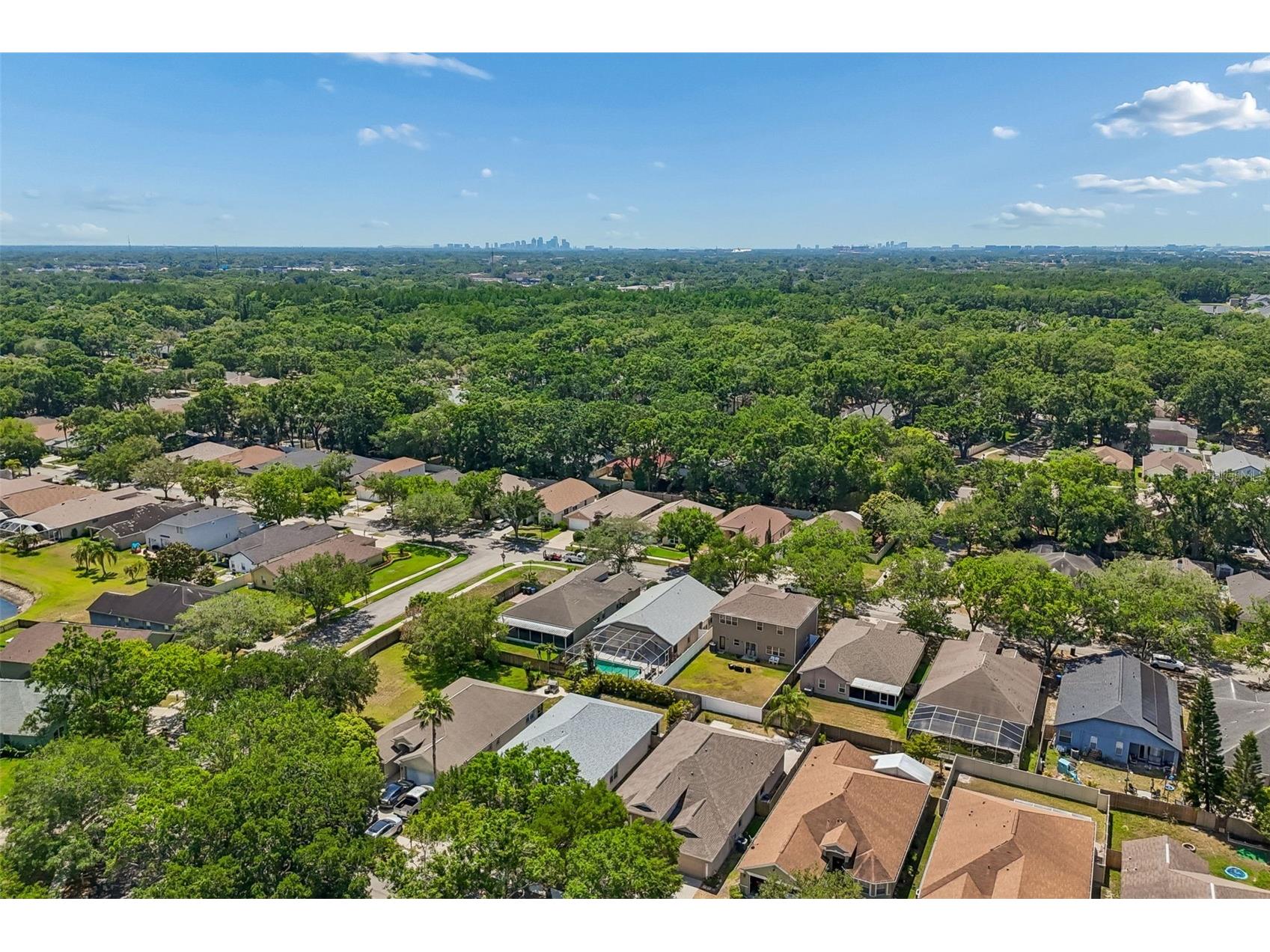 4789 Whispering Wind Avenue Tampa FL 33614 TB8499395 image96