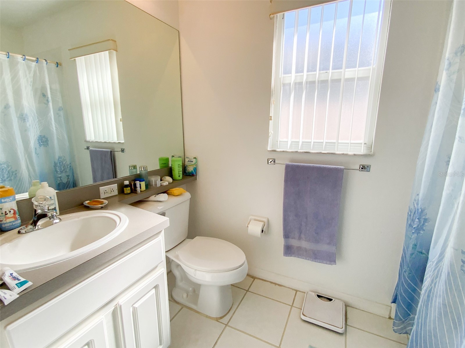 479 Briland Street Tarpon Springs FL 34689 TB8431184 image37