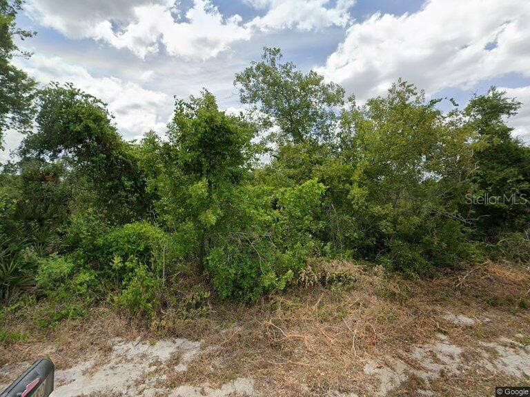 479 Coolidge Avenue NE Lake Placid FL 33852 TB8336974 image1