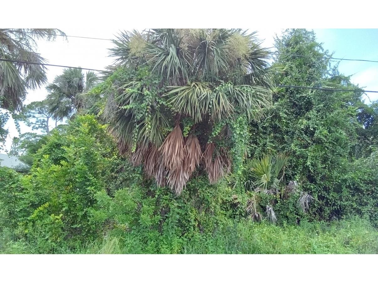 479 Harbor Boulevard Port Charlotte FL 33954 O6143344 image1