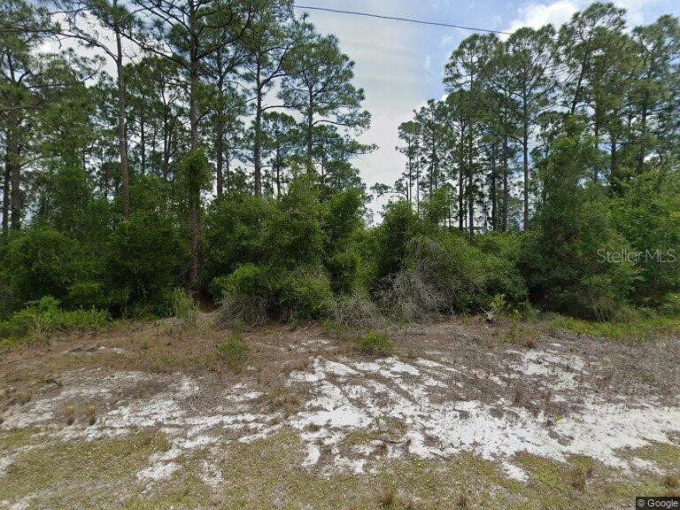 479 Johnson Avenue NE Lake Placid FL 33852 O6397348 image1