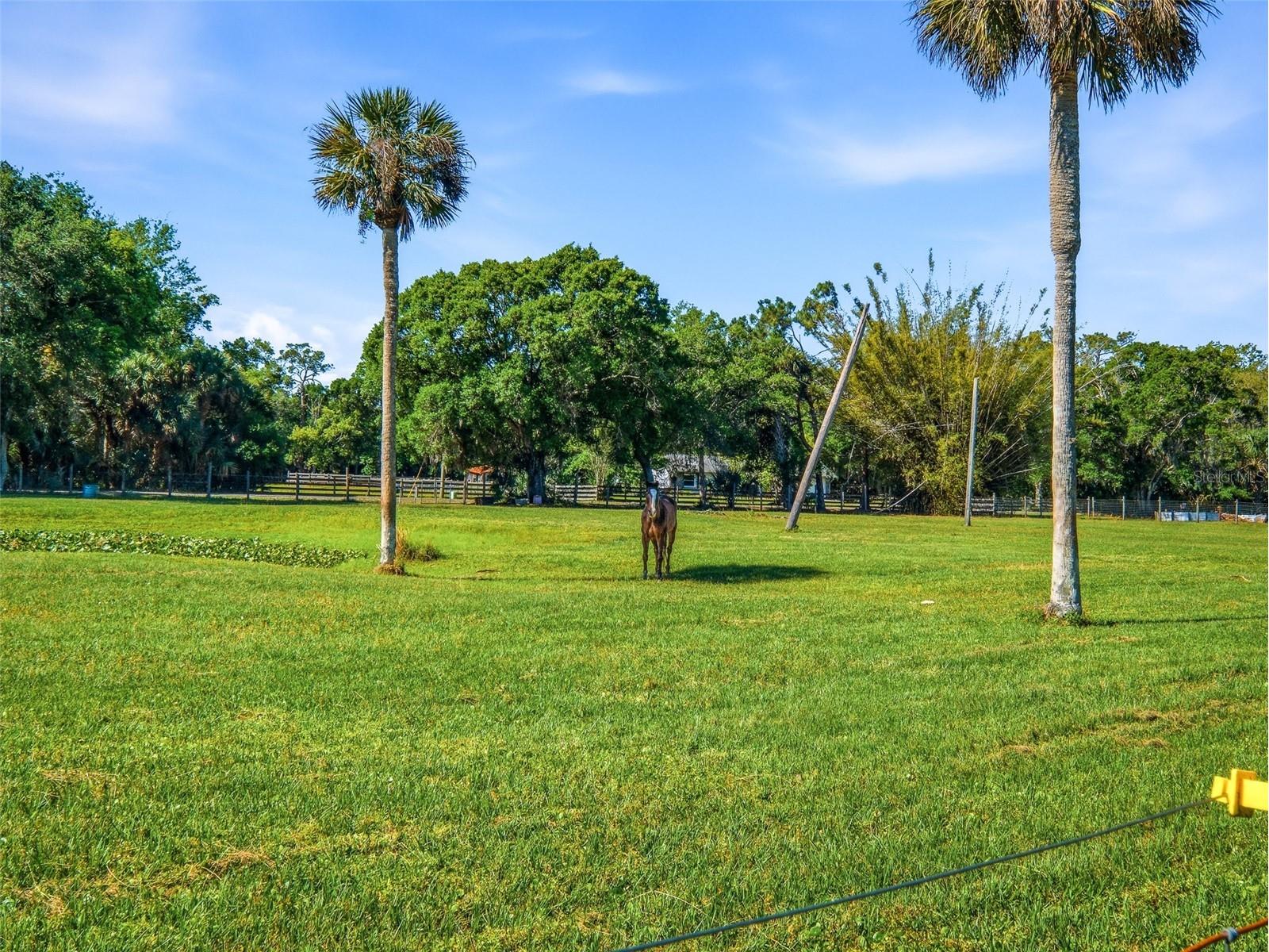 479 Maytown Road Oak Hill FL 32759 NS1087947 image45