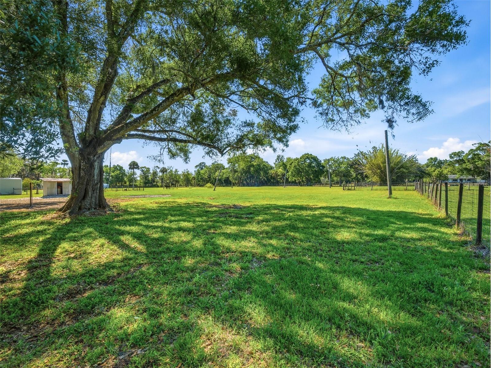 479 Maytown Road Oak Hill FL 32759 NS1087947 image49