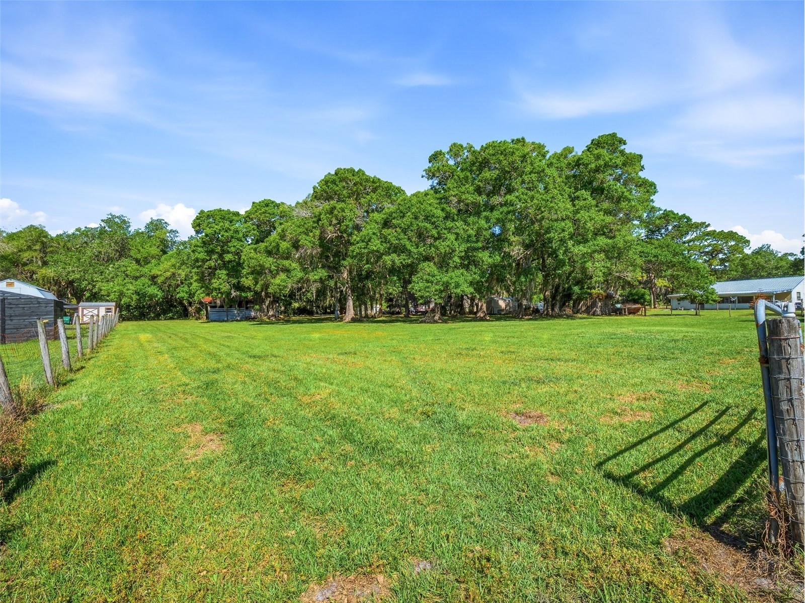 479 Maytown Road Oak Hill FL 32759 NS1087947 image51