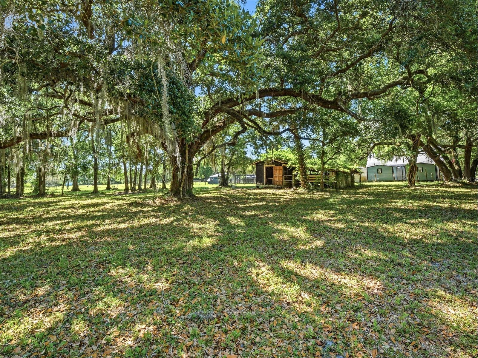 479 Maytown Road Oak Hill FL 32759 NS1087947 image52