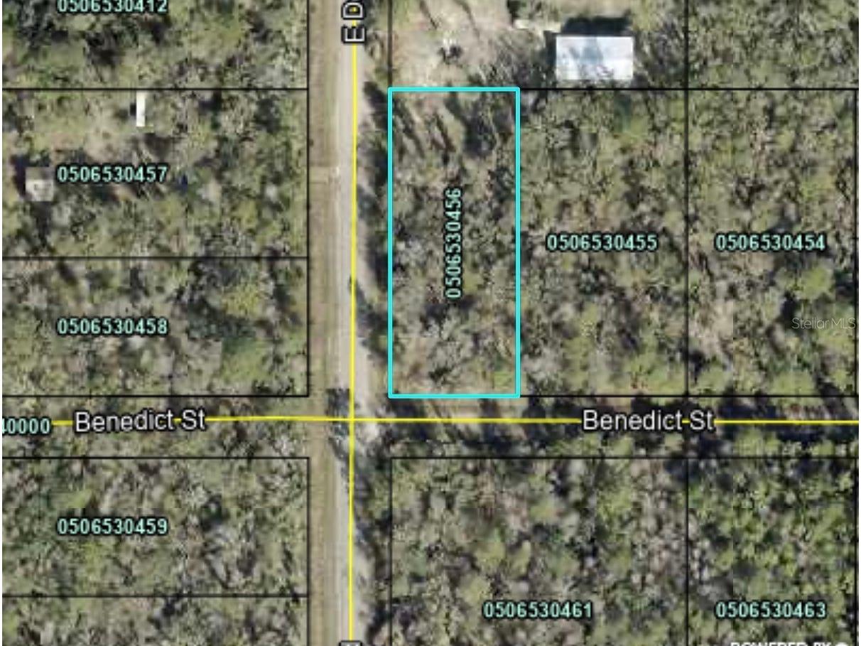 4790 Benedict Street Hastings FL 32145 A4695932 image1