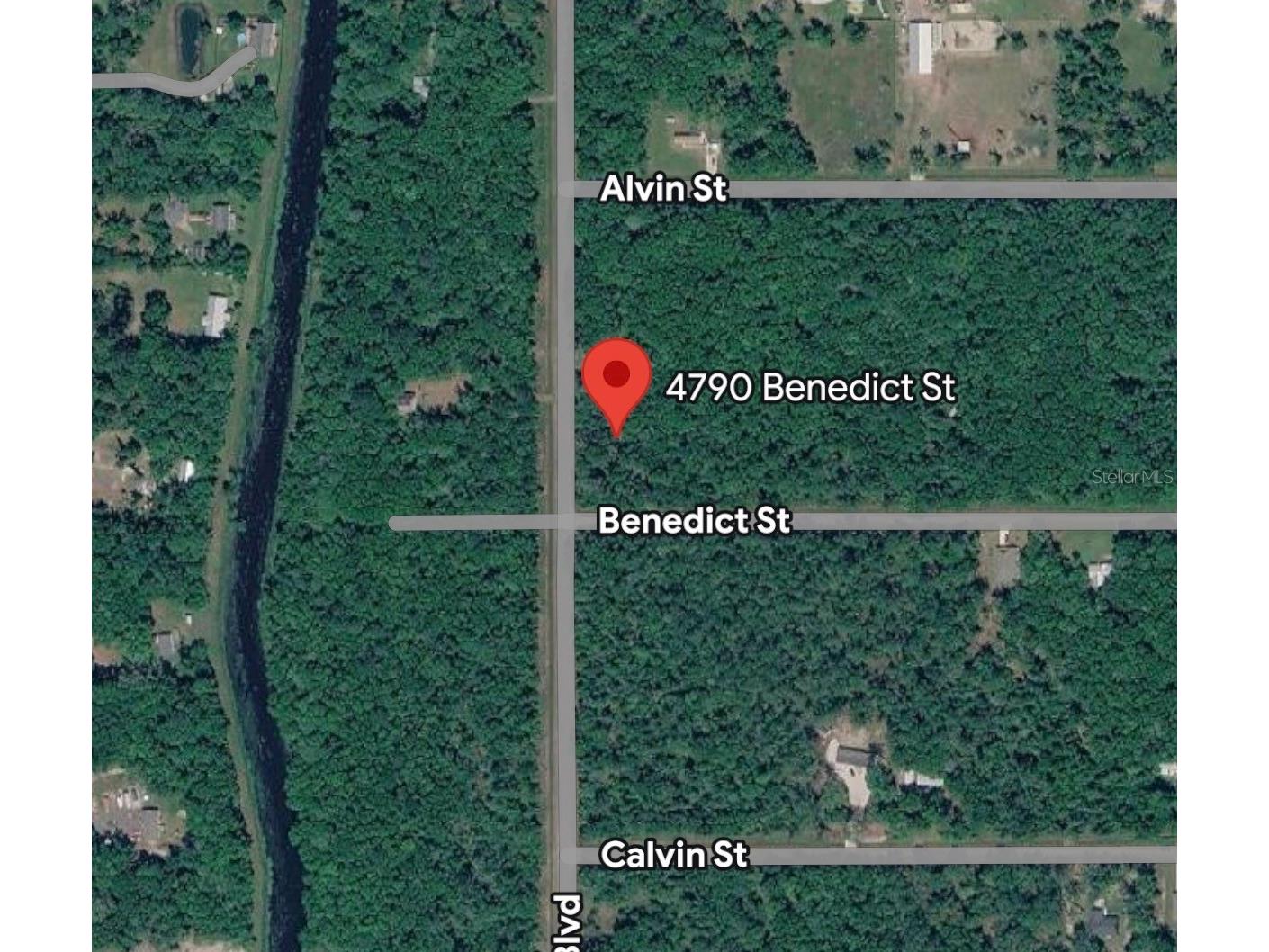 4790 Benedict Street Hastings FL 32145 A4695932 image2