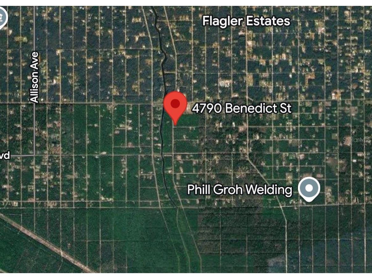 4790 Benedict Street Hastings FL 32145 A4695932 image7