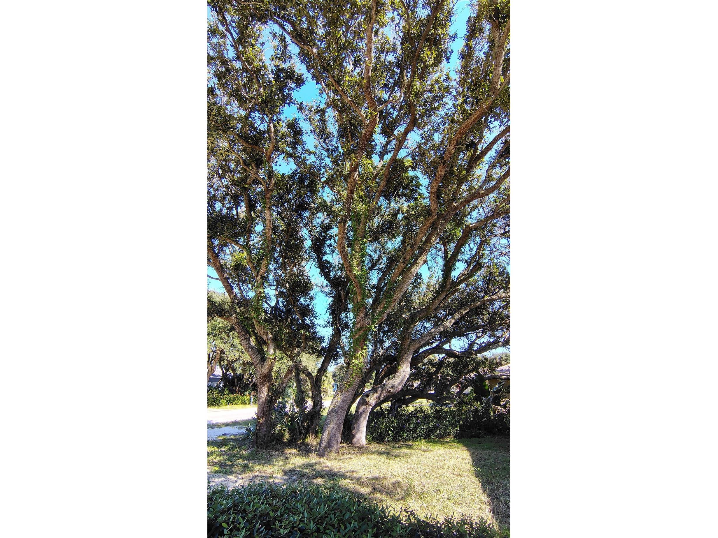 4790 Michael Lane Ponce Inlet FL 32127 L4961593 image23