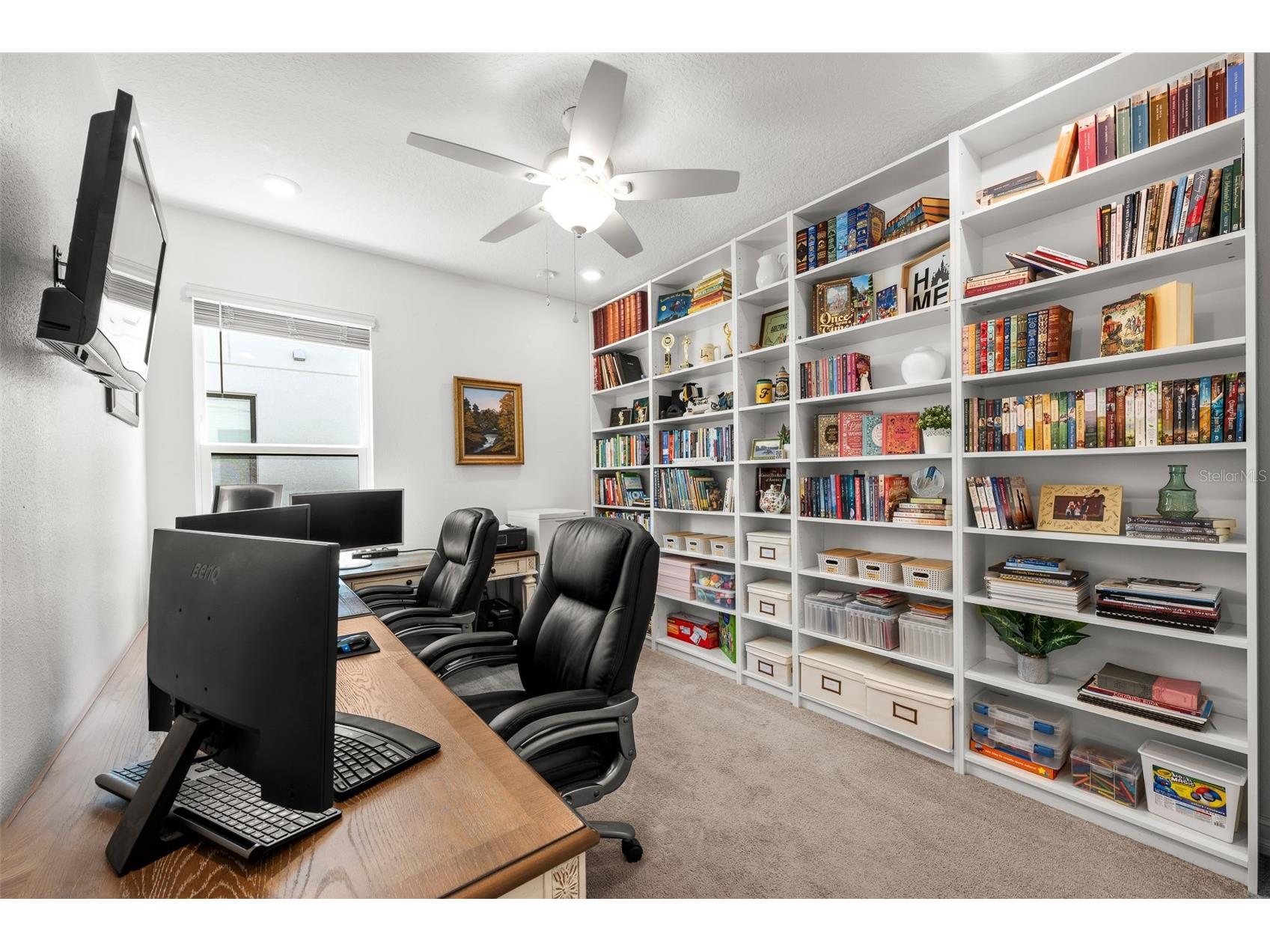 4790 Tramanto Lane Wesley Chapel FL 33543 TB8498250 image17