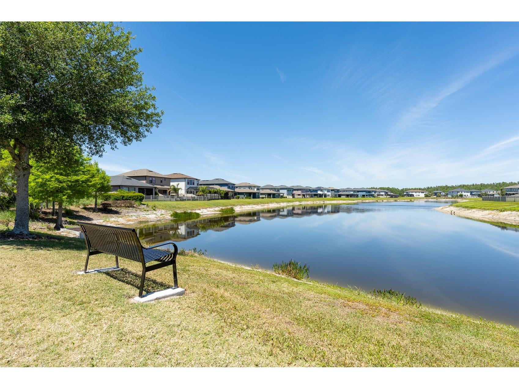 4790 Tramanto Lane Wesley Chapel FL 33543 TB8498250 image68