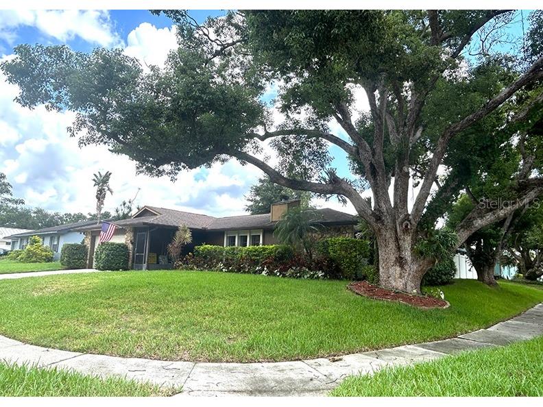 4791 Deer Road Orlando FL 32812 O6340674 image35