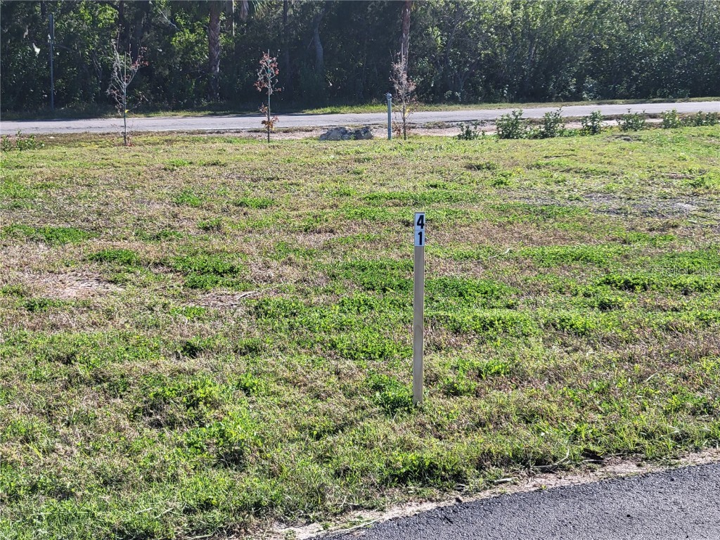 4792 Hermes Way New Port Richey FL 34652 W7873579 image6