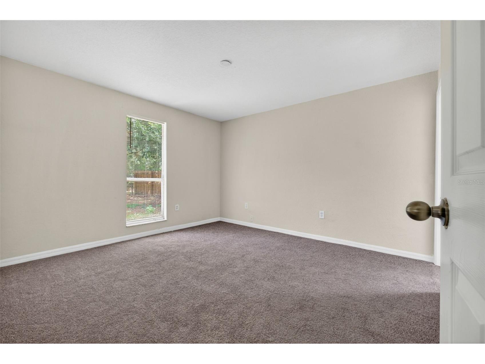 4793 Pleasant Avenue Palm Harbor FL 34683 TB8512578 image19