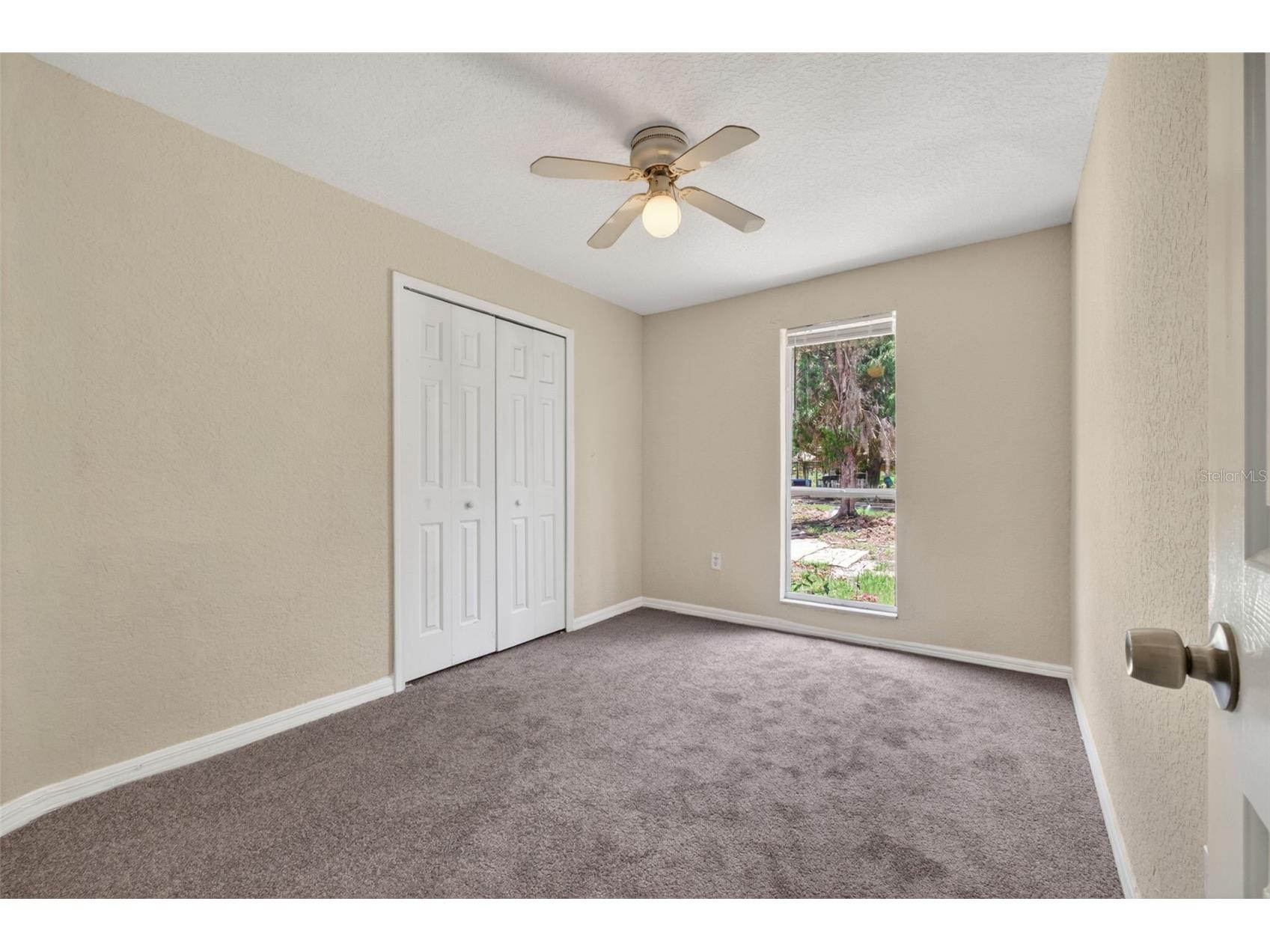 4793 Pleasant Avenue Palm Harbor FL 34683 TB8512578 image22