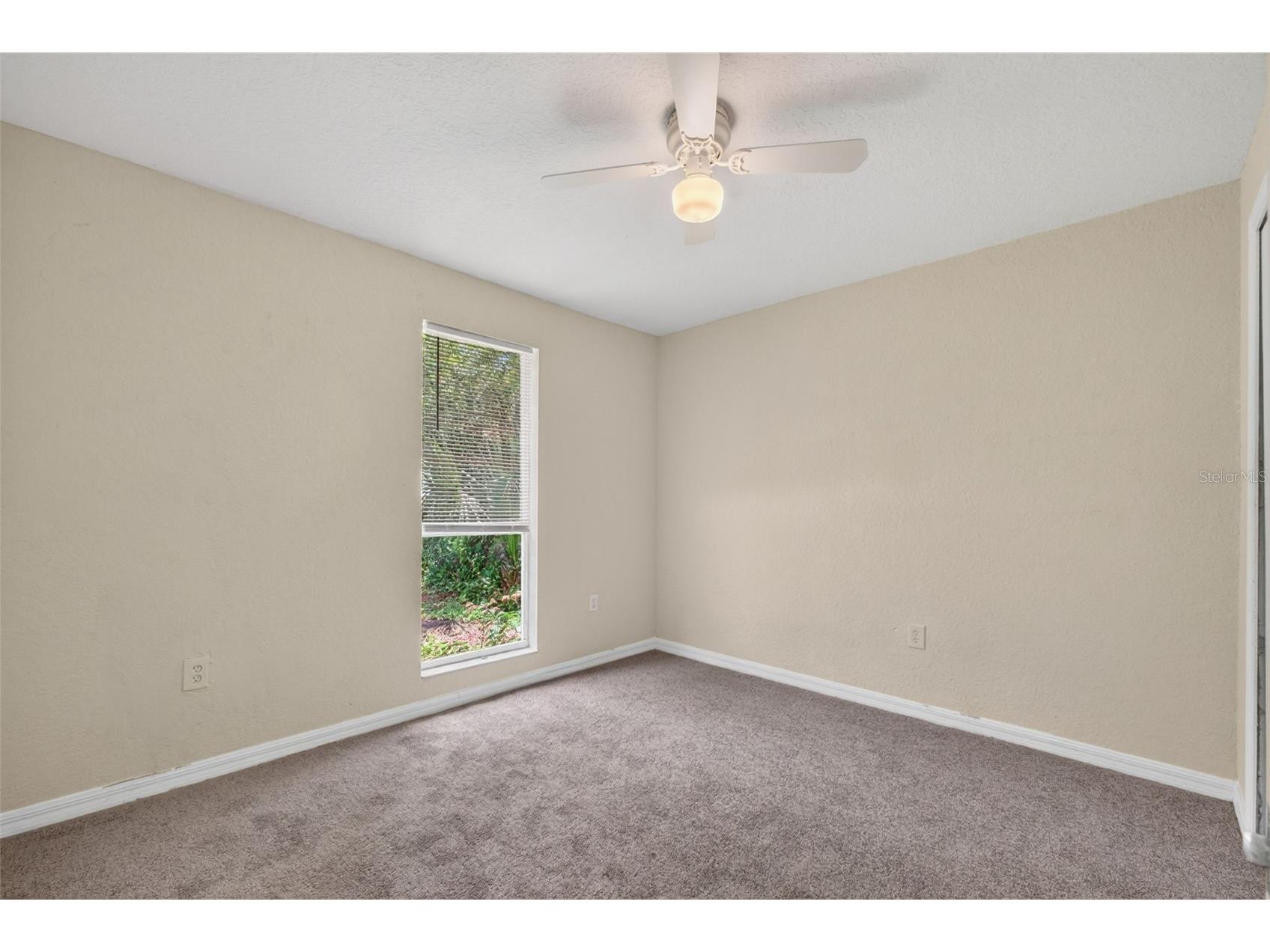 4793 Pleasant Avenue Palm Harbor FL 34683 TB8512578 image25
