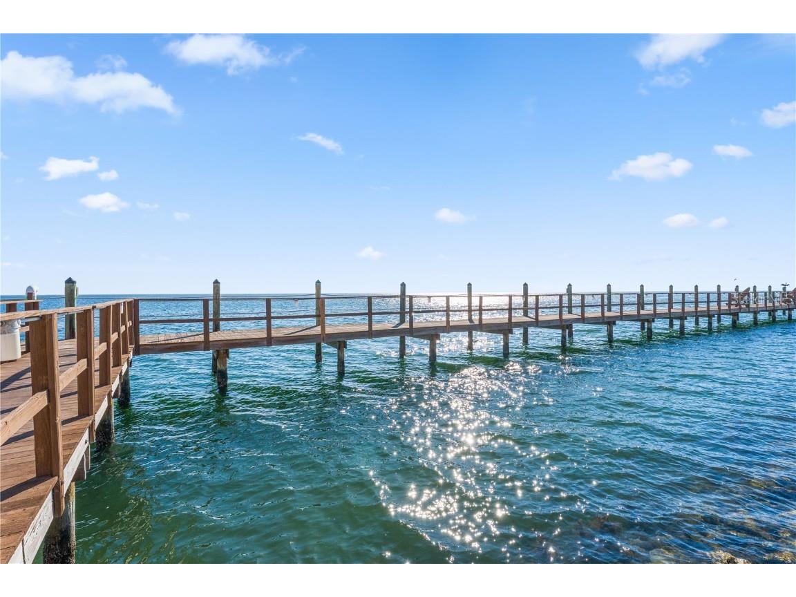 4794 Cobia Drive SE #C Saint Petersburg FL 33705 TB8459827 image25