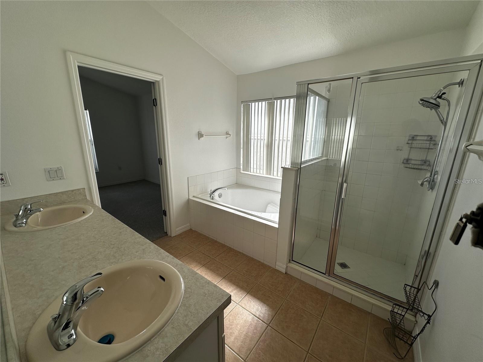 4795 Cumbrian Lakes Drive Kissimmee FL 34746 O6379967 image11
