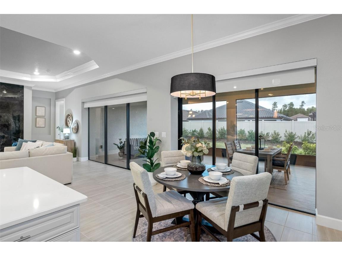 4795 Freccia Loop Wesley Chapel FL 33543 TB8441667 image15