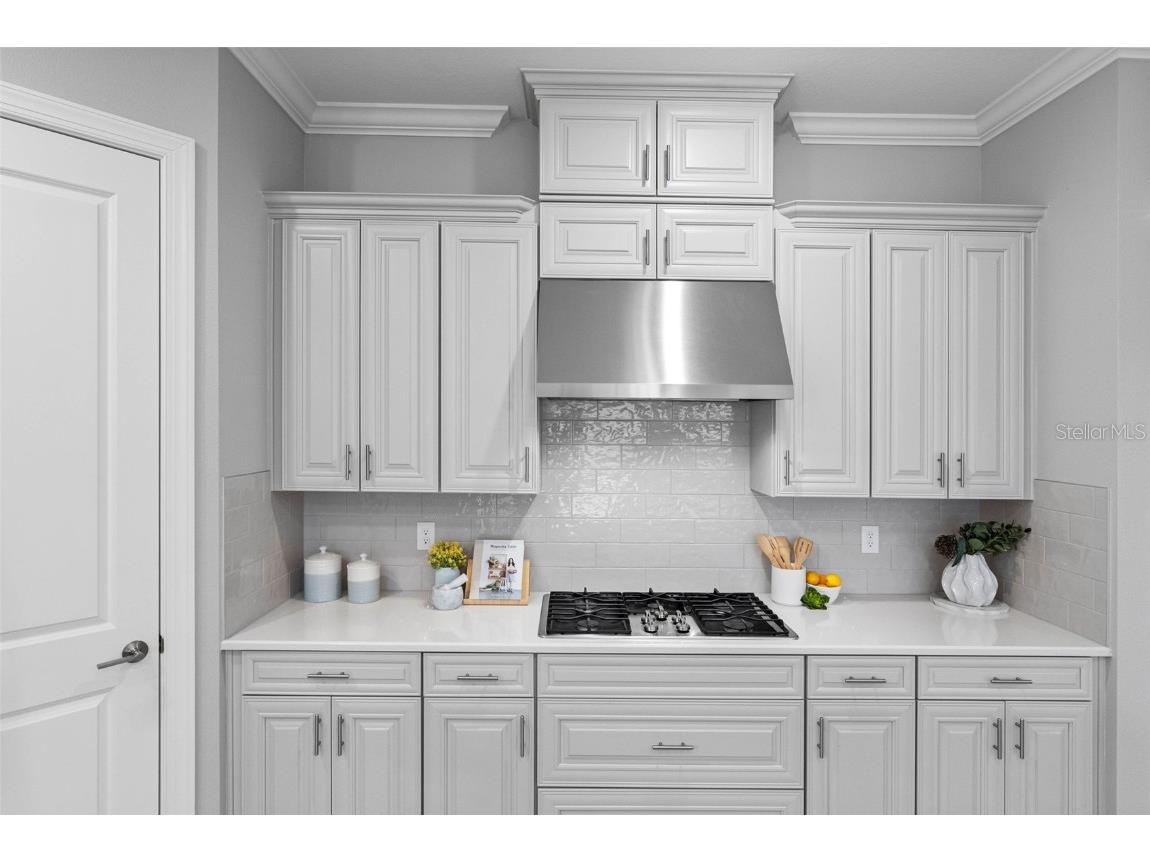 4795 Freccia Loop Wesley Chapel FL 33543 TB8441667 image18