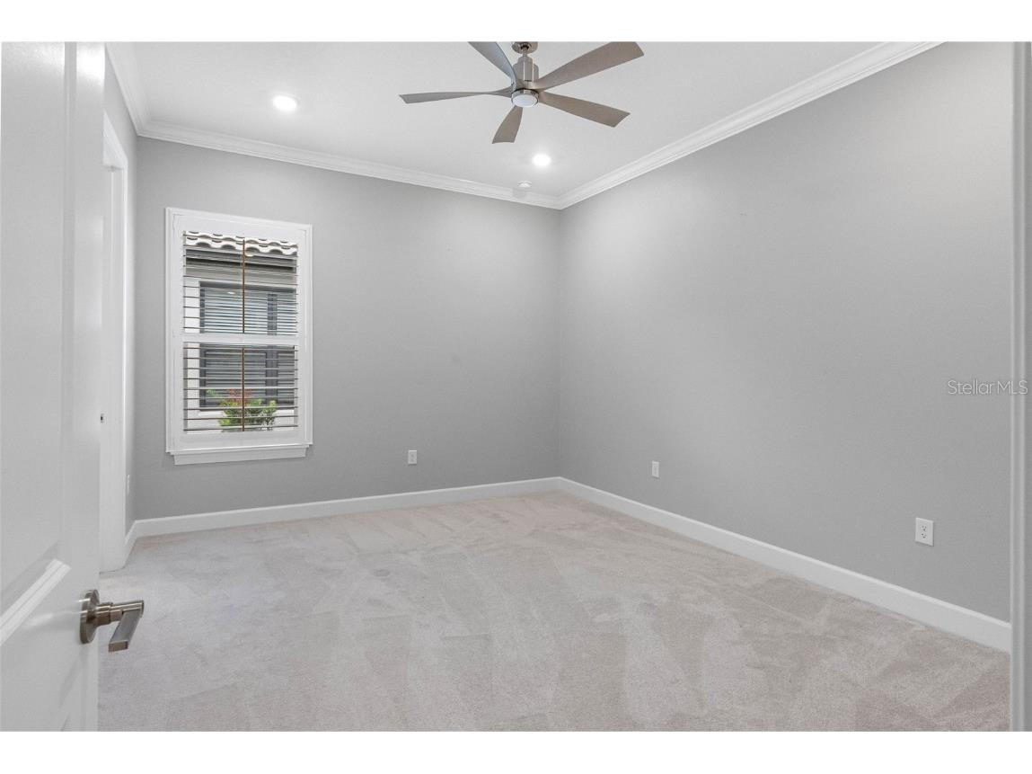 4795 Freccia Loop Wesley Chapel FL 33543 TB8441667 image29