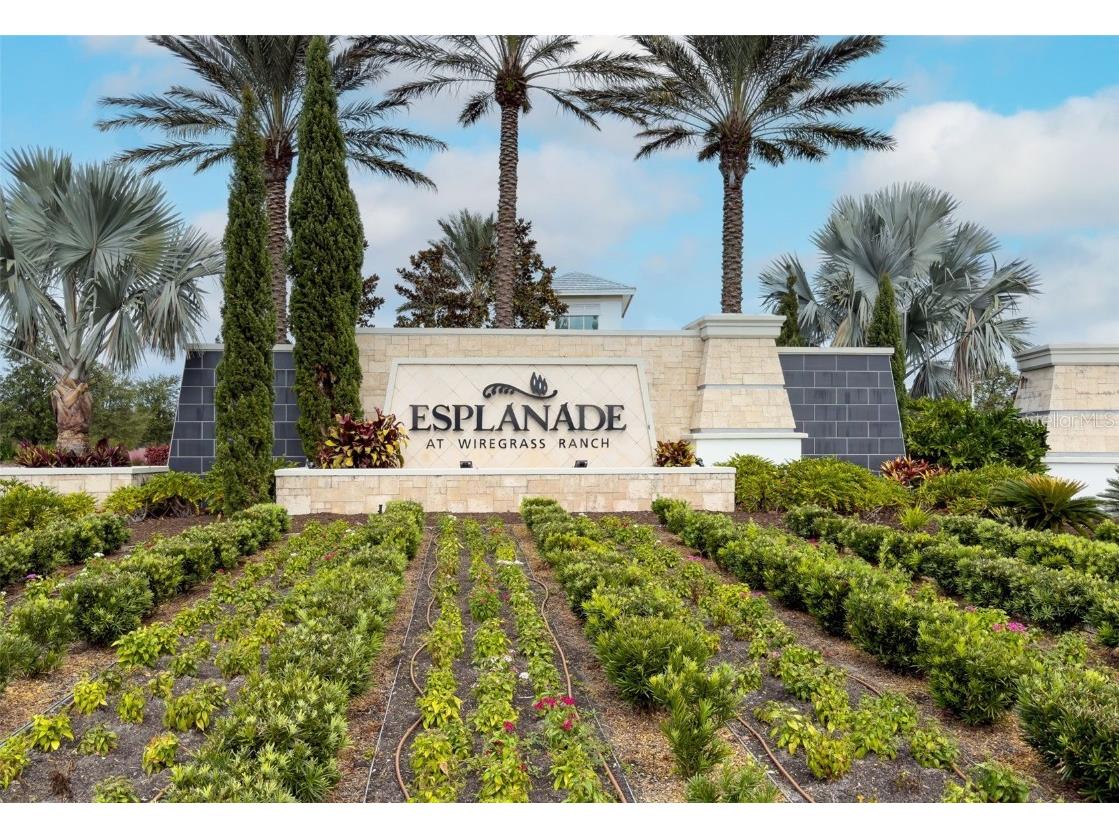 4795 Freccia Loop Wesley Chapel FL 33543 TB8441667 image41