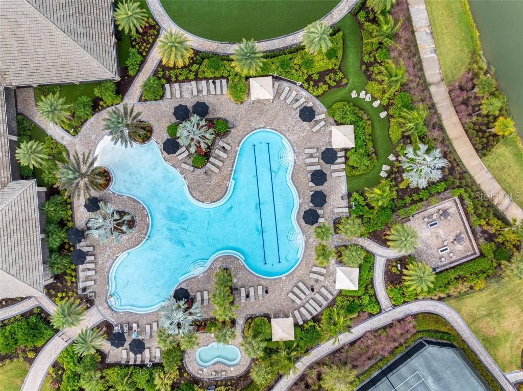 4795 Freccia Loop Wesley Chapel FL 33543 TB8441667 image49