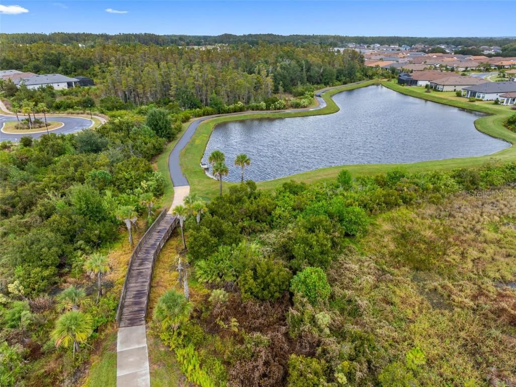 4795 Freccia Loop Wesley Chapel FL 33543 TB8441667 image50