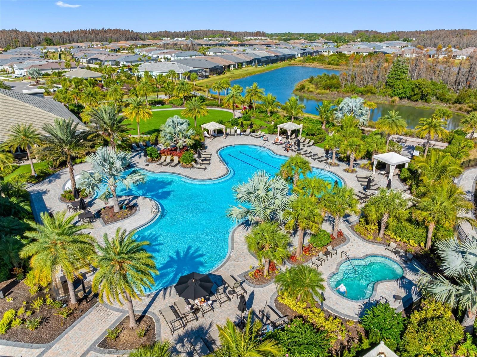 4795 Freccia Loop Wesley Chapel FL 33543 TB8441667 image56